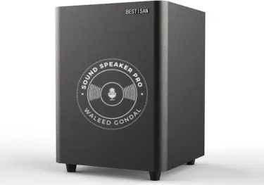 BESTISAN Powered Subwoofer