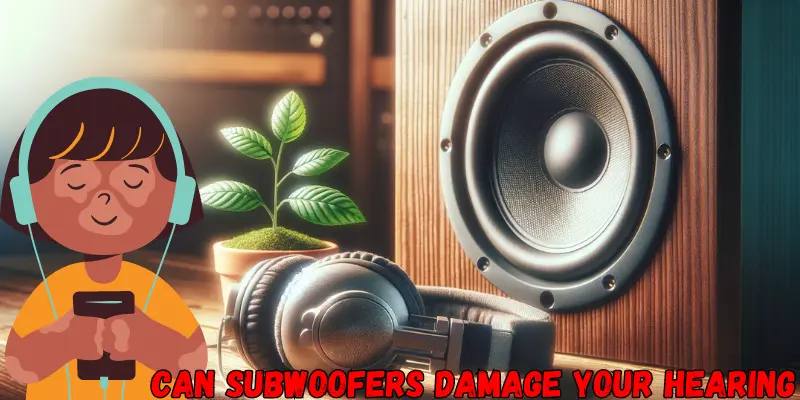 Can Subwoofers Damage Your Hearing (Health Expert Opinion)
